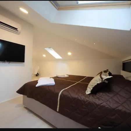 Agent Lux Penzion 4*